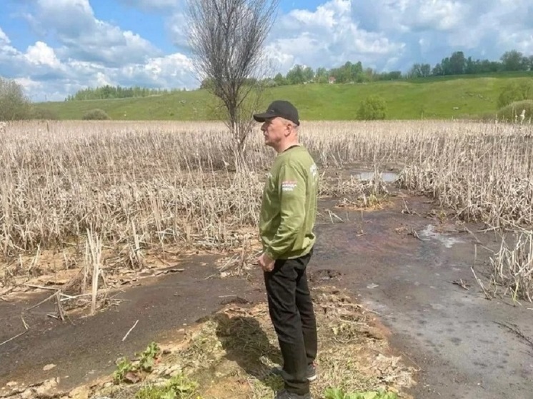 В Тульской области найдена причина загрязнения реки Веневки