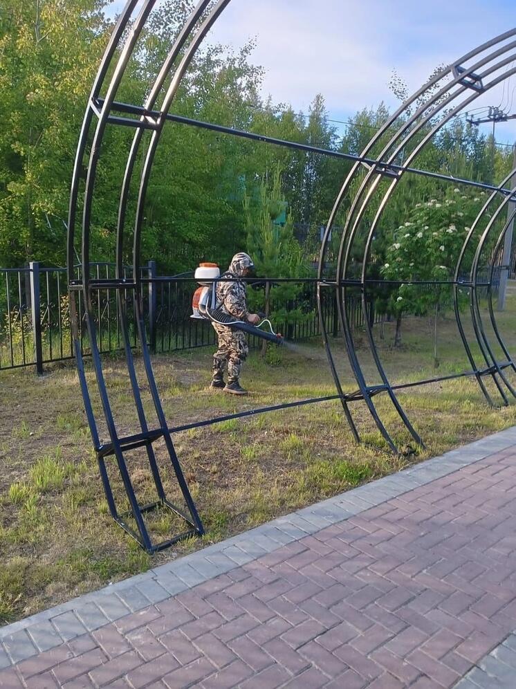 В Ханымее по субботам будут травить комаров