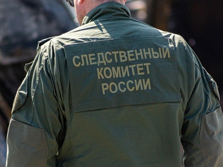 Совладелица новосибирской компании «Ангиолайн» Наталья Лебедева задержана по делу о хищении
