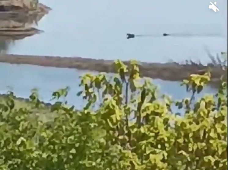 Лосей, переплывающих реку, заметили на реке Горин в Хабаровском крае