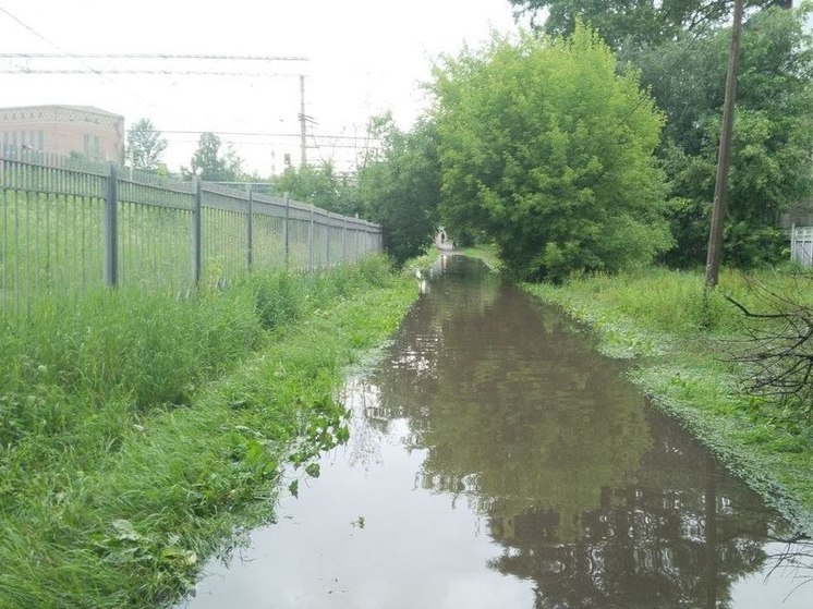 17-летняя девушка погибла под колесами электрички в Королеве