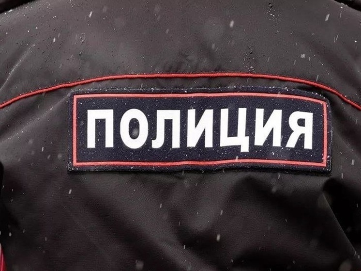 Великолучанка избила полицейского и попала под суд