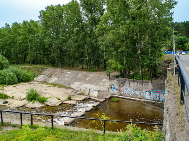 Проект искусственного участка на Лесном пруду взял под контроль глава города.