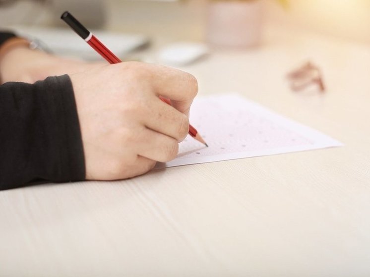 Одиннадцатиклассница из Нижнего Новгорода не получит золотую медаль из-за телефона на ЕГЭ