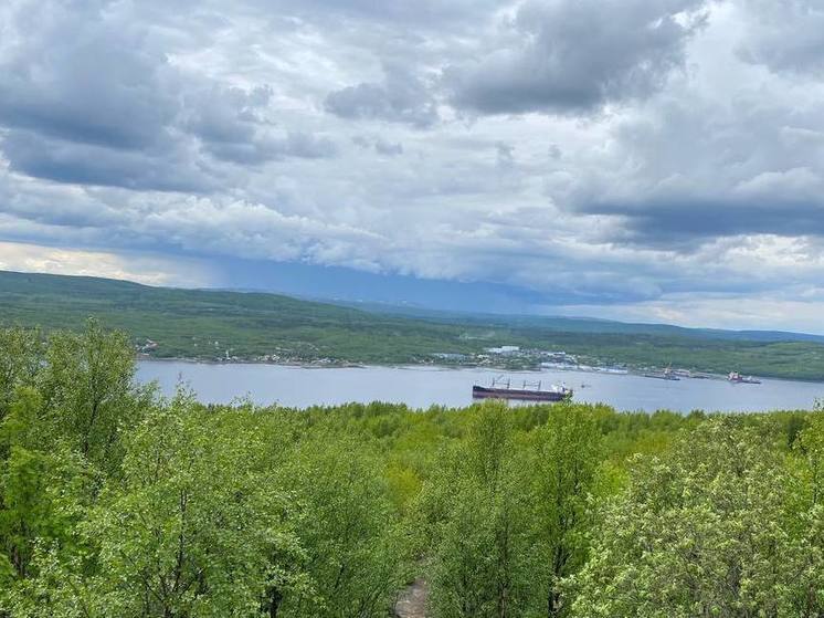 В Мурманской области нашли пропавших малолетних братьев