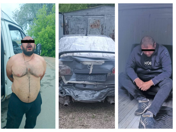 В Новосибирске армянская диаспора приехала на разборки с Годзиллой