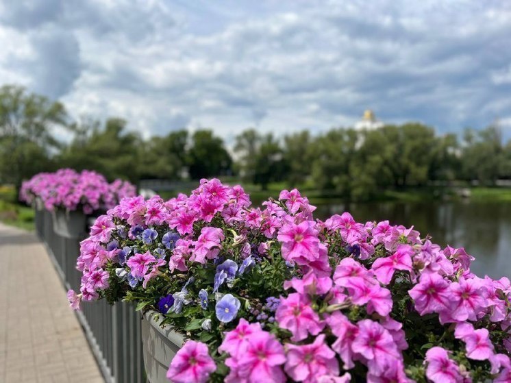 Белгородку наказали за сорванные с клумбы петунии