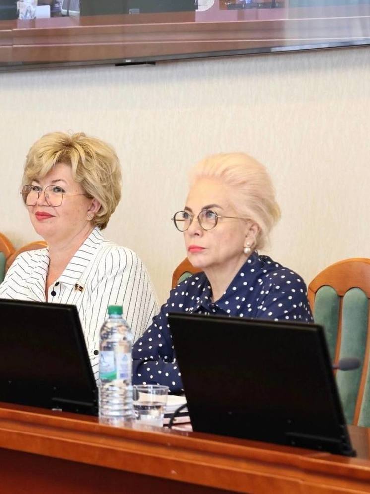 Нижегородские парламентарии снова обращаются к Мишустину