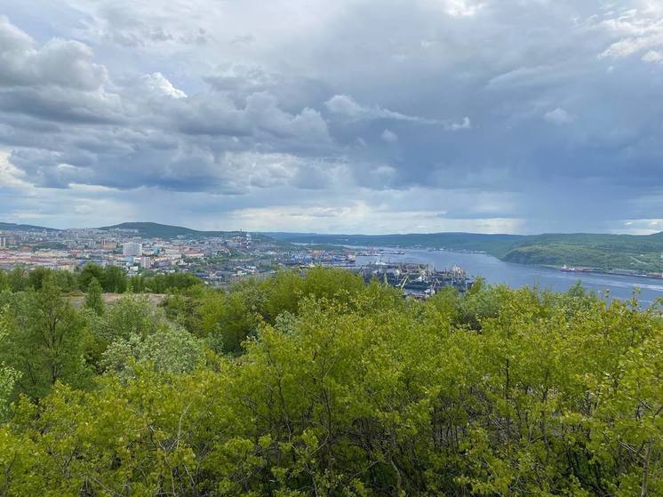 В Мурманской области участники СВО могут получить земельные участки бесплатно