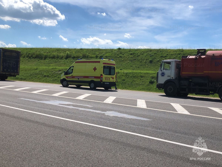 В Орловской области грузовик сбил насмерть мужчину