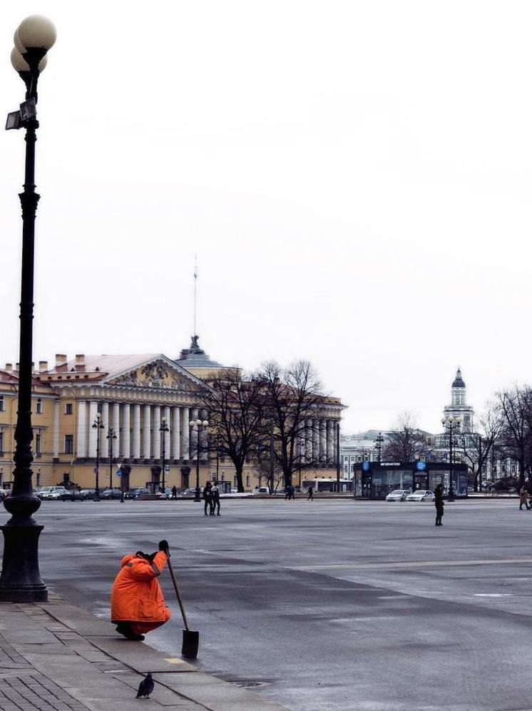 В России проверят мигрантов на знание русского языка при наличии сертификата