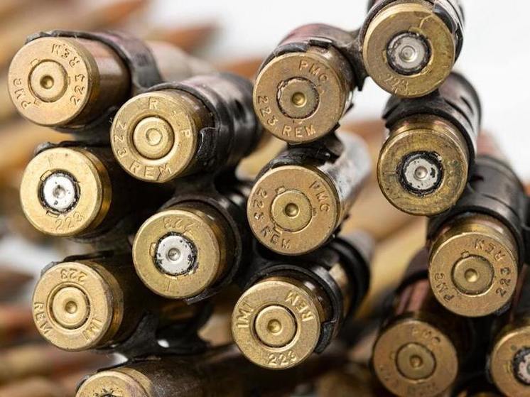 Жительница Монголии попалась на границе в Кяхте с 2,5 тыс патронами