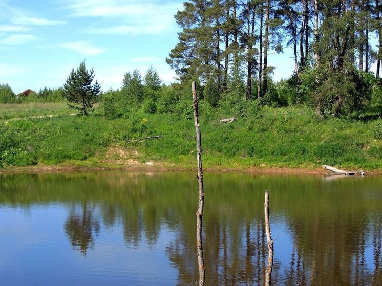 На озере «Дивное» в Балашихе подросток утонул, спасая друга