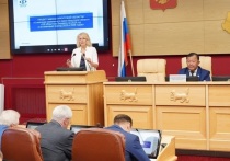 На сессии ЗС депутаты региона в трех чтениях приняли предложенные изменения