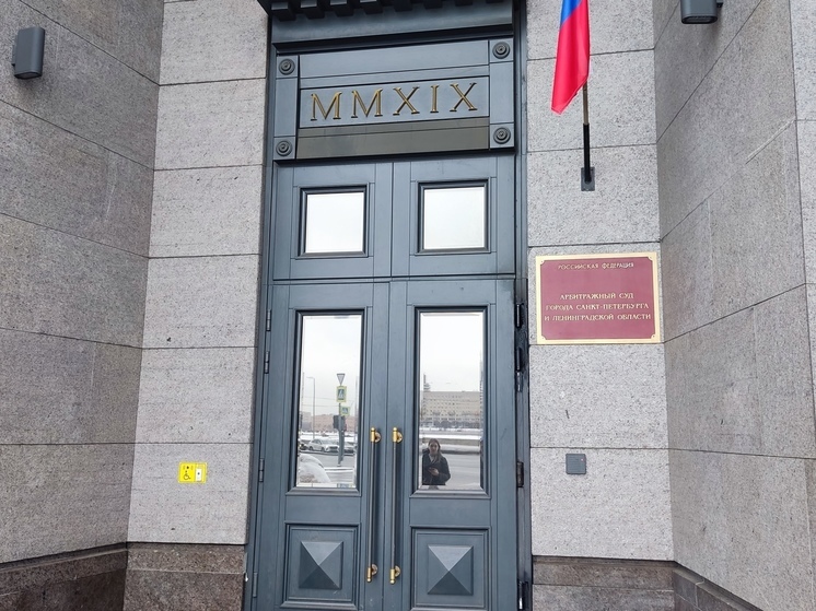 Суд в Петербурге арестовал инспектора ДПС, по вине которого погибли три пассажирки