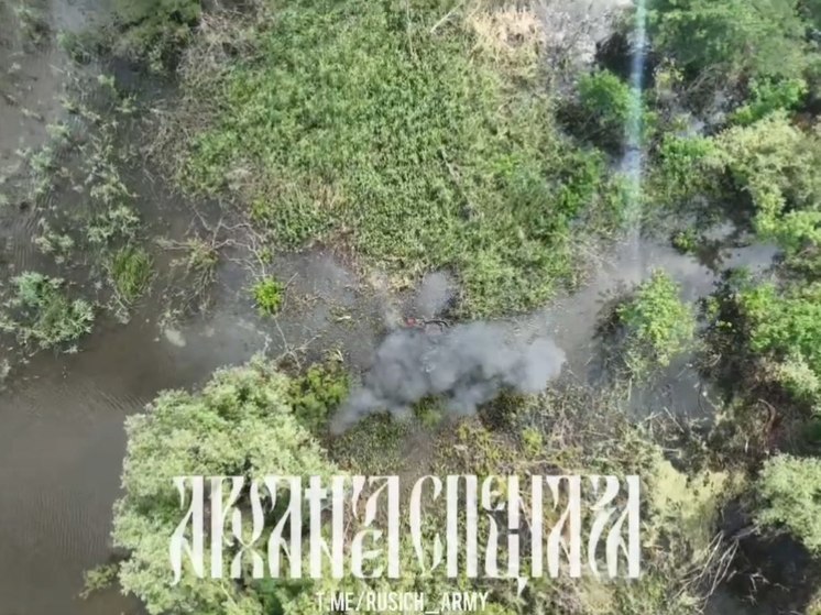 Сводка за сутки: ВСУ потеряли 110 боевиков на Херсонском направлении