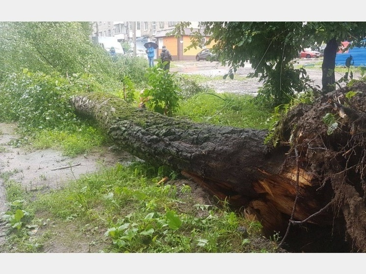 В Смоленске продолжают устранять последствия сильнейшего ливня