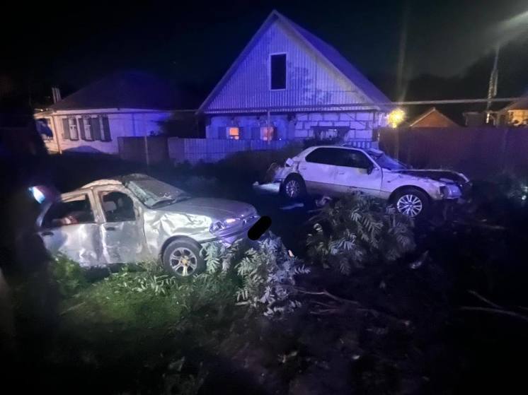 Под Воронежем «Тойота» въехала в дерево: юноша погиб, девушка в больнице