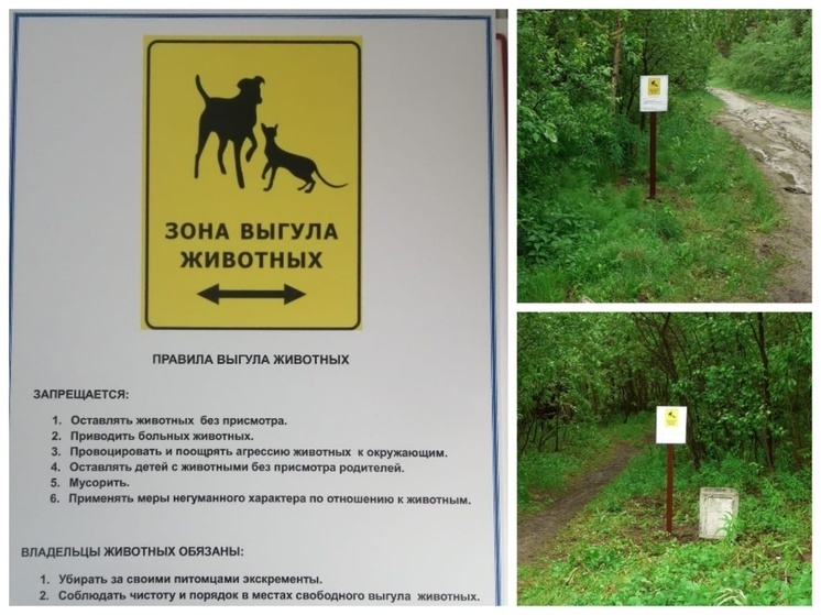 В Полярных Зорях определили места для свободного выгула домашних питомцев