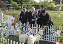 Кинолог Уражевский рассказал об особенностях собак, подаренных президенту России в КНДР