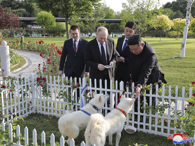 Кинолог Уражевский рассказал об особенностях собак, подаренных президенту России в КНДР