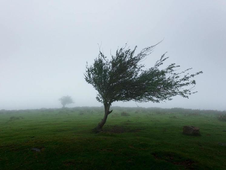 Василий Анохин: в ликвидации последствий непогоды участвует более 600 специалистов и 160 единиц техники