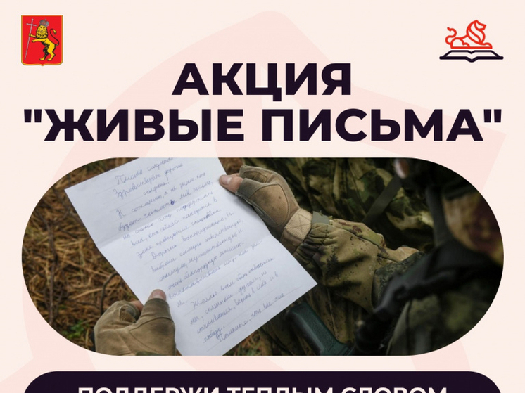 Владимирцев приглашают принять участие в акции в поддержку бойцов СВО