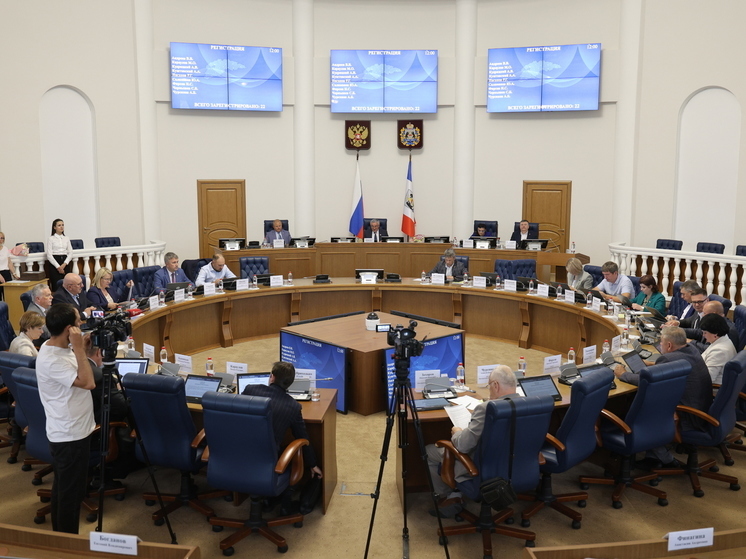 Новгородские депутаты скорректировали областной бюджет на год