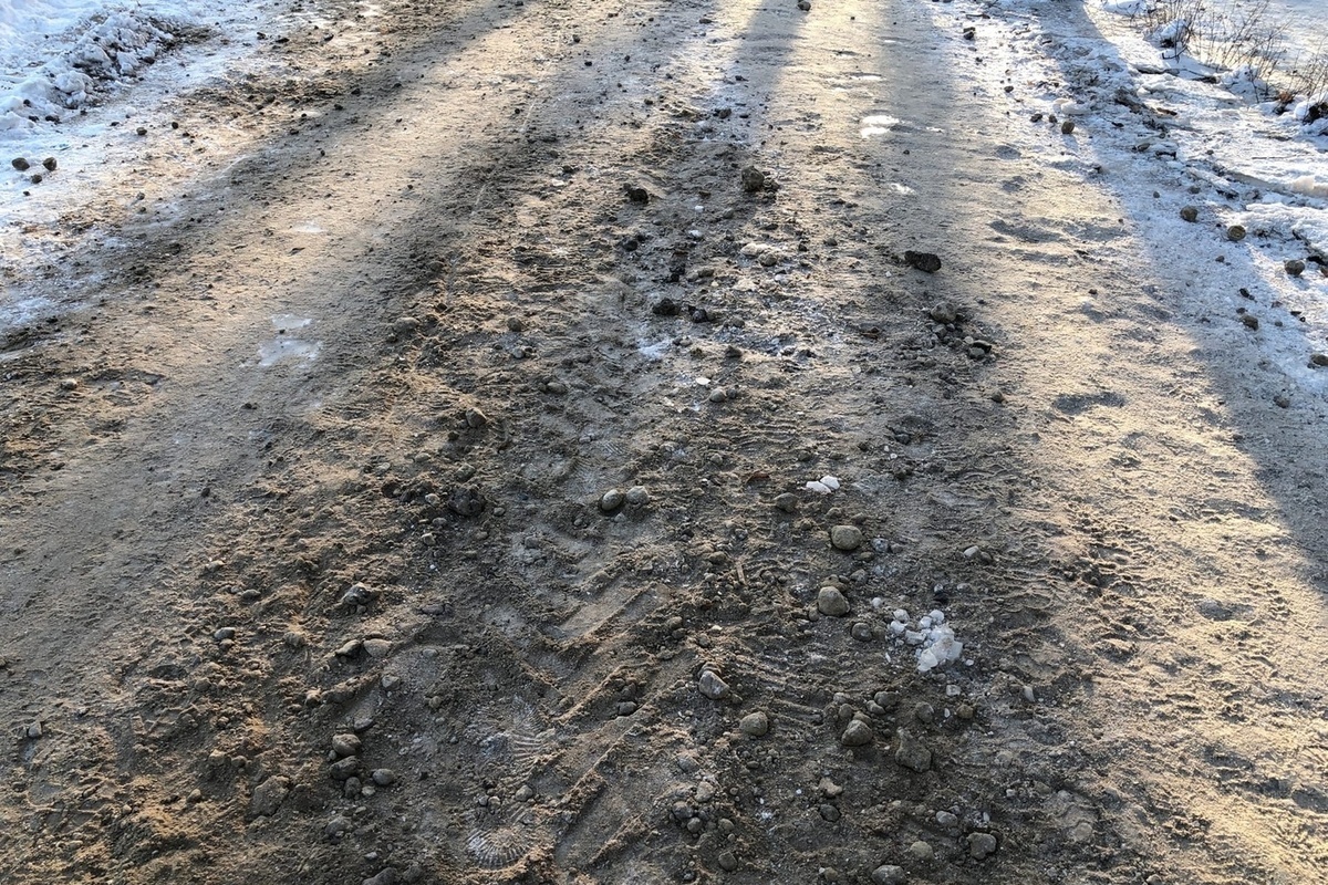 Главные улицы Томска планируют посыпать реагентом вместо песка - МК Томск