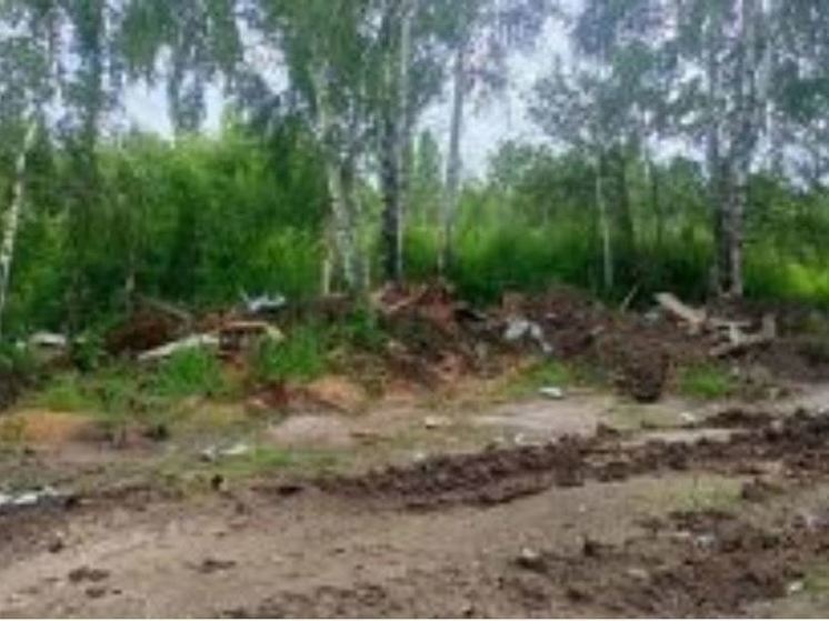 Свалку нашли на сельхозземлях в Орловской области