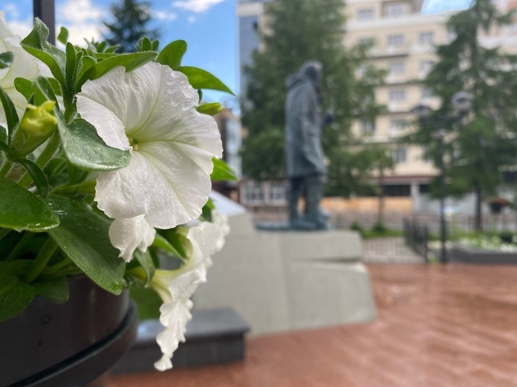 Погоду в Поморье определит циклон с НАО