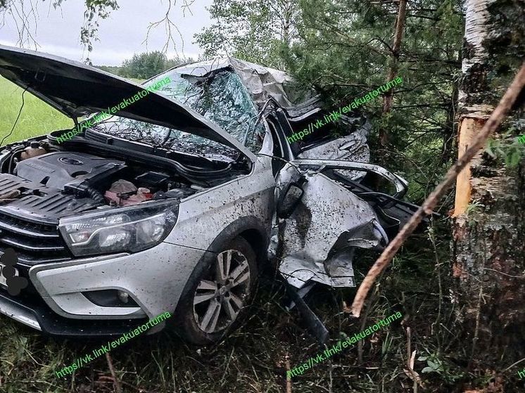 В Клепиковском районе Lada вылетела в кювет в врезалась в дерево