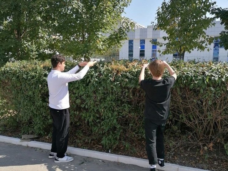 В Ставрополе за лето трудоустроят около тысячи школьников