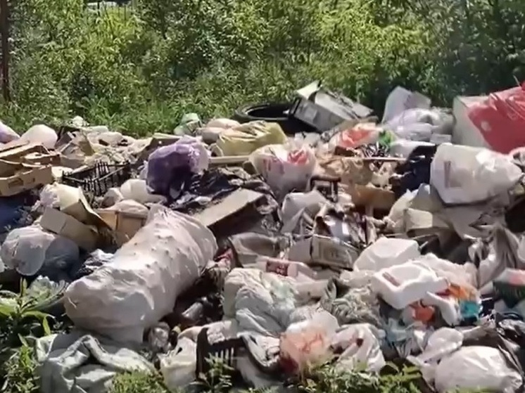 Два района Орла утопают в мусоре