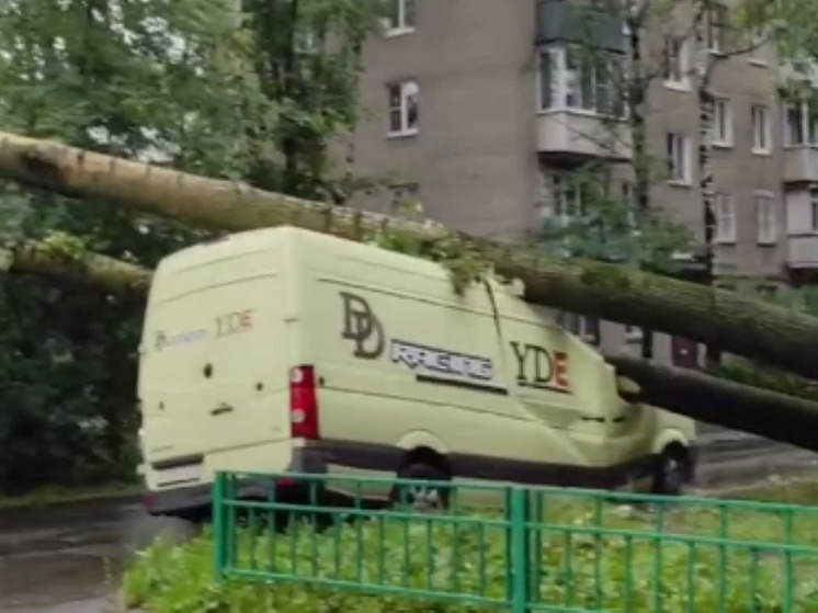 7 человек пострадали вчера в результате стихии в Подмосковье