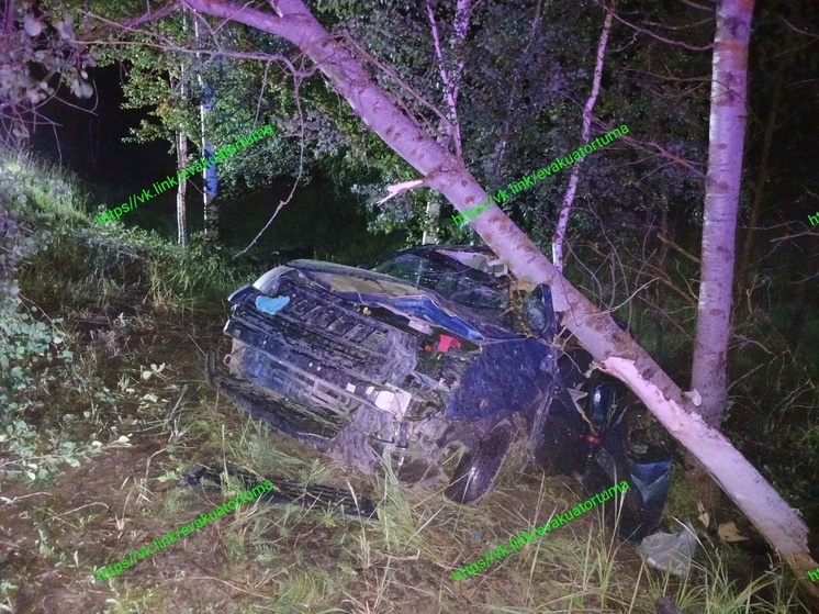 Водитель Citroen скончался в больнице после ДТП в Клепиковском районе