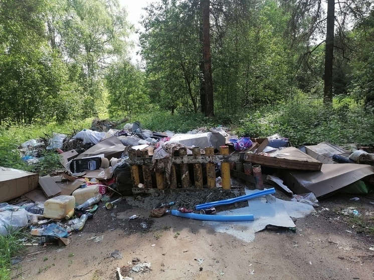 В лесу рядом с деревней в Тверской области сваливали мусор