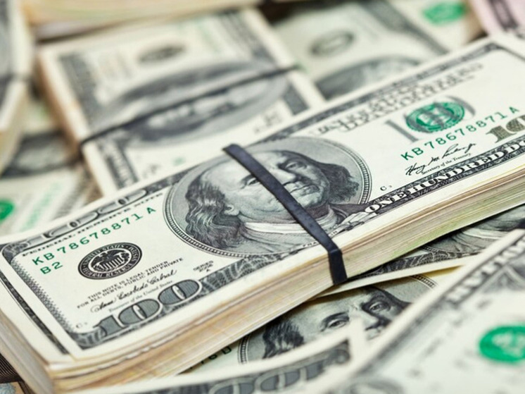 Бизнесмен Дотком призвал продавать доллары из-за краха США на фоне огромного госдолга