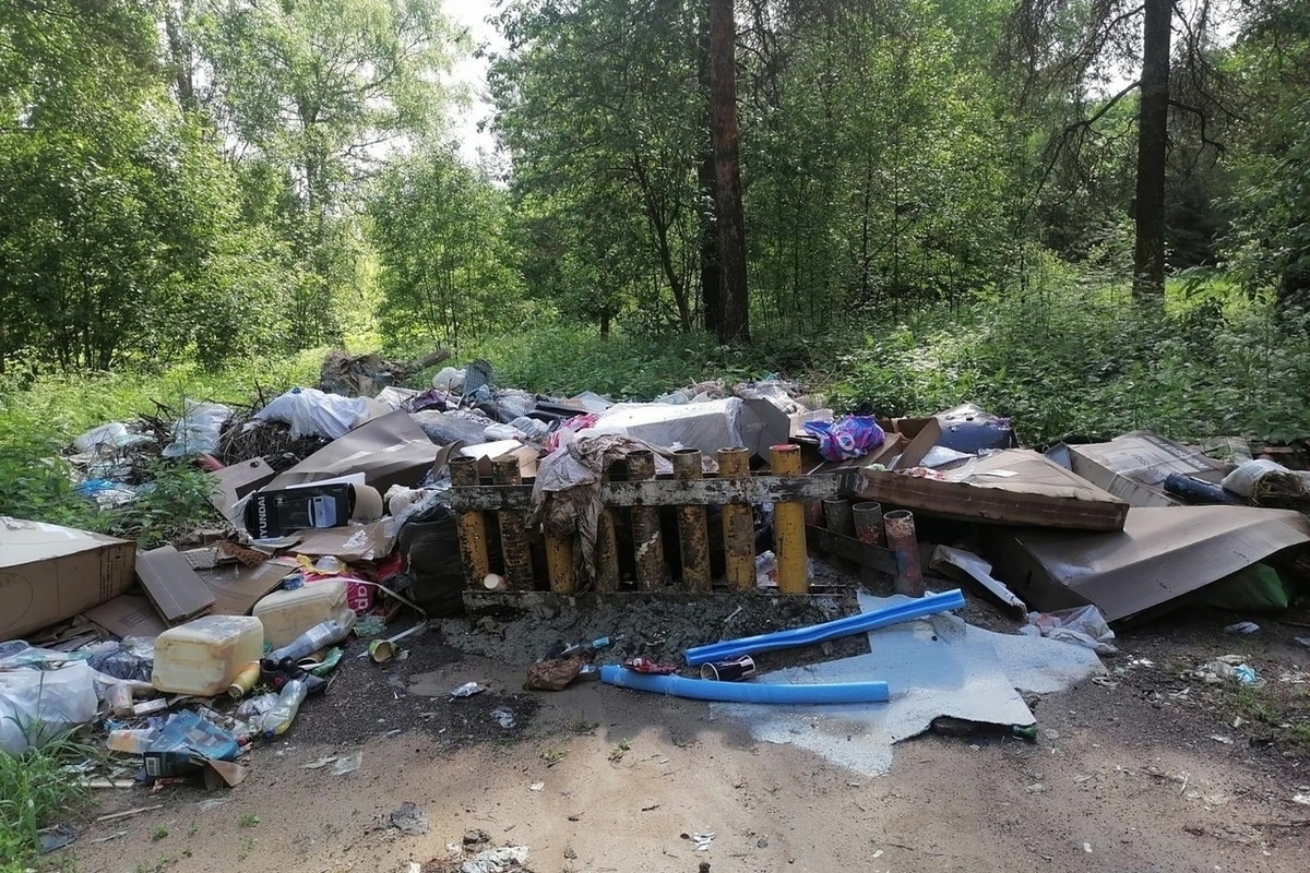 В лесу рядом с деревней в Тверской области сваливали мусор - МК Тверь