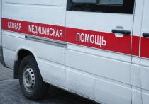 Жительница Ноябрьска заявила, что возле местной детской площадки обитает стая собак, которые, по ее словам, начали нападать на людей