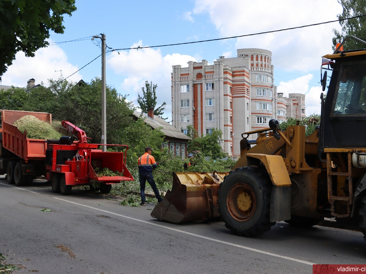 Во Владимире ликвидируют последствия урагана