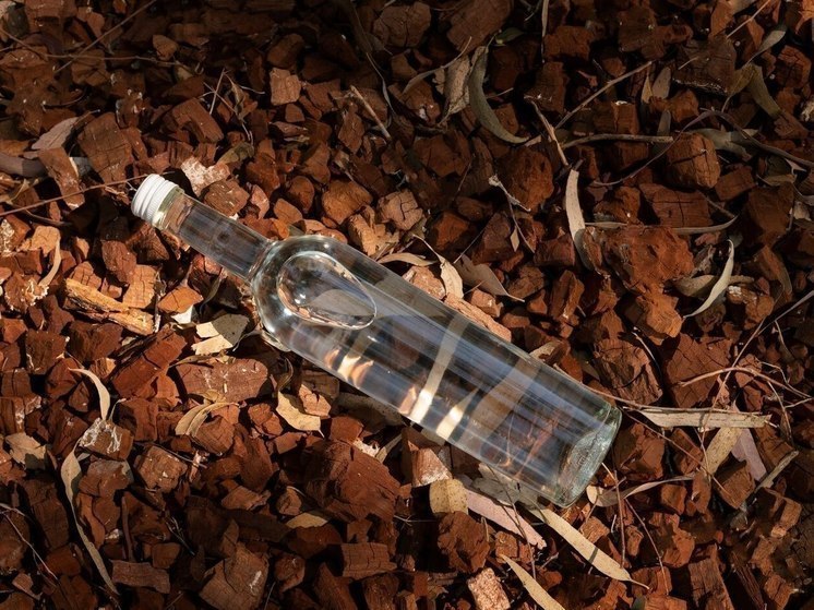 Похитителя дорогой водки доставили в полицию Петрозаводска