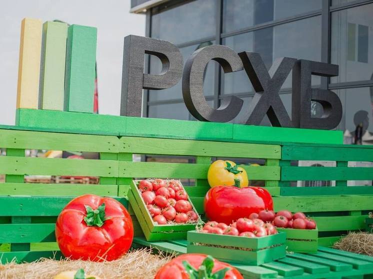Россельхозбанк и «ЭКО-культура» открыли первый в России Фестиваль томата