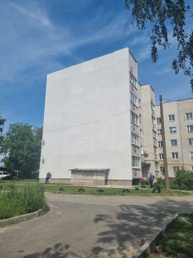 Дальше без плесени: жители Городца добились ремонта фасада дома