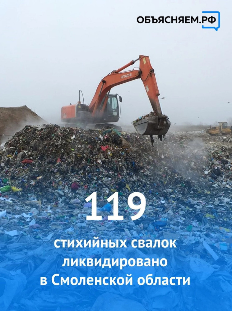 В Смоленской области с начала года ликвидировано 119 стихийных свалок