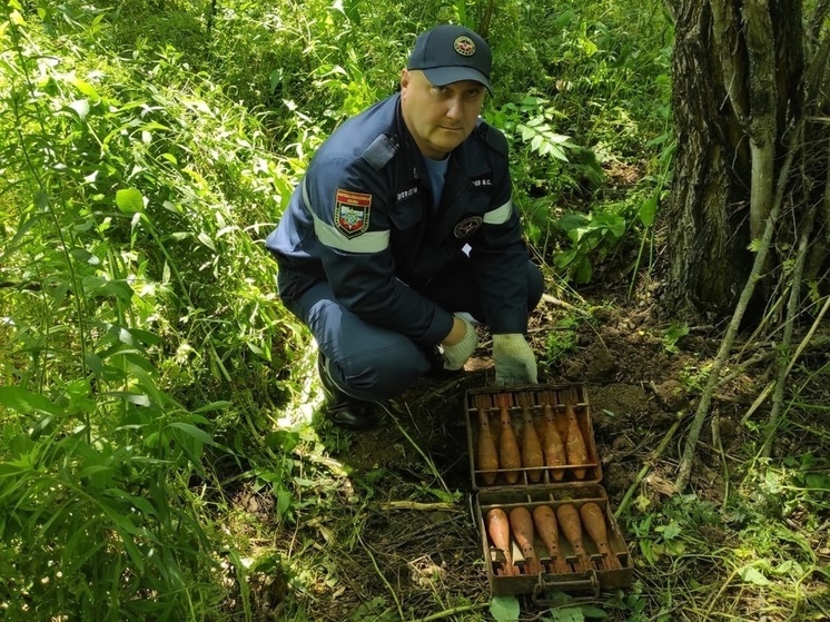 Рядом с курской деревней Кожля обнаружили боезапас из 10 мин