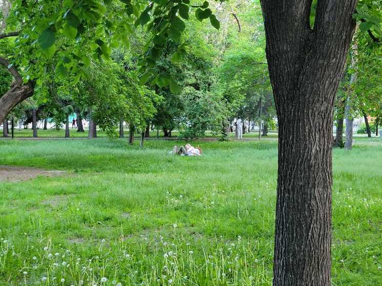 В Новосибирске начались самые жаркие выходные 22 и 23 июня