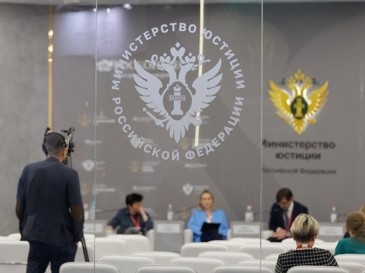 Двоих петербургских муниципальных депутатов признали иноагентами