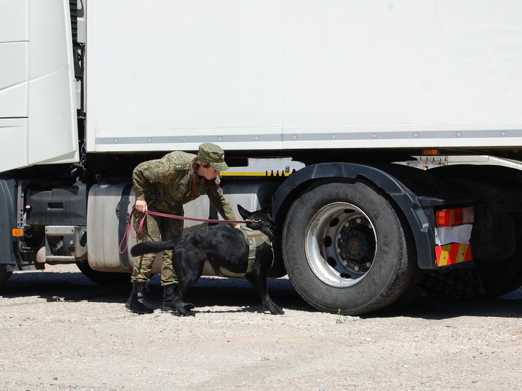 Кинологи Смоленской таможни с начала году участвовали в 108 опративных мероприятиях