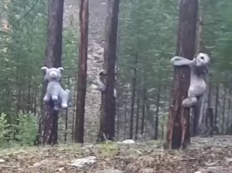 Жуткое кладбище игрушек показали в Бурятии